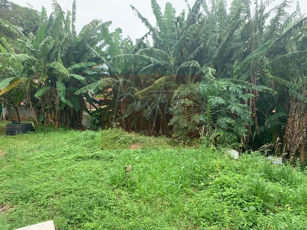 Terreno - Jardim placaford