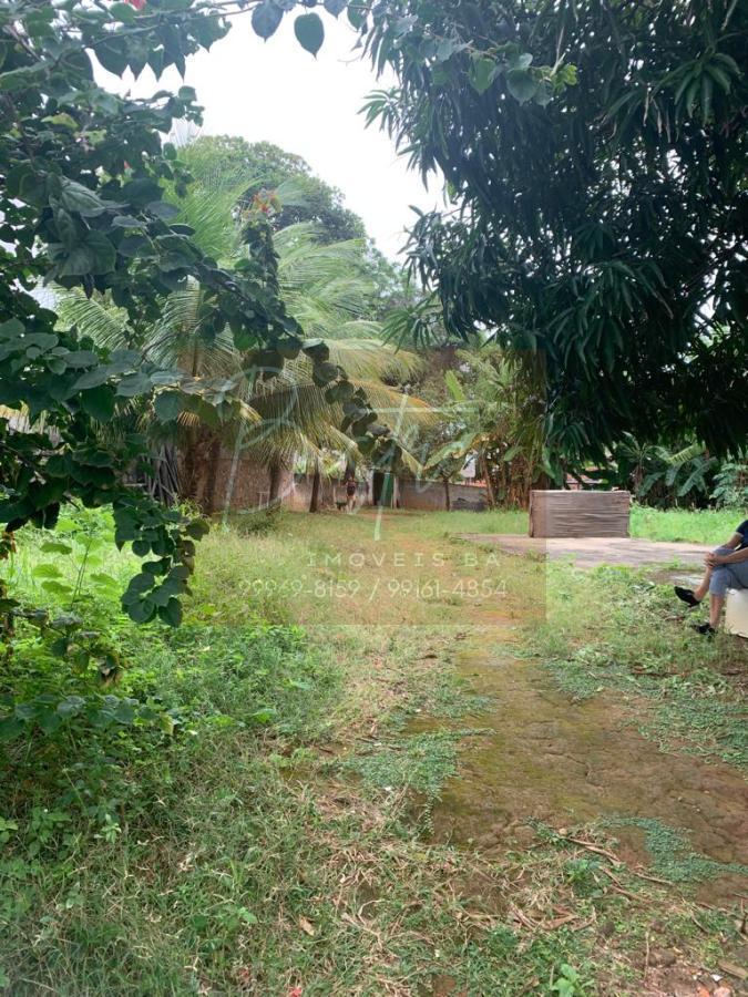 Terreno - Jardim placaford